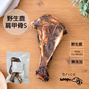 LOOPe(ループ) 肩甲骨 Sサイズ