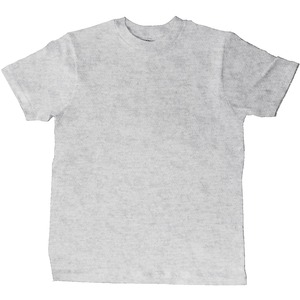 Goodwear グッドウェア USAコットン パックTシャツ 2W7-65227 メンズ 半袖Tシャツ 無地Tシャツ コットンTシャツ