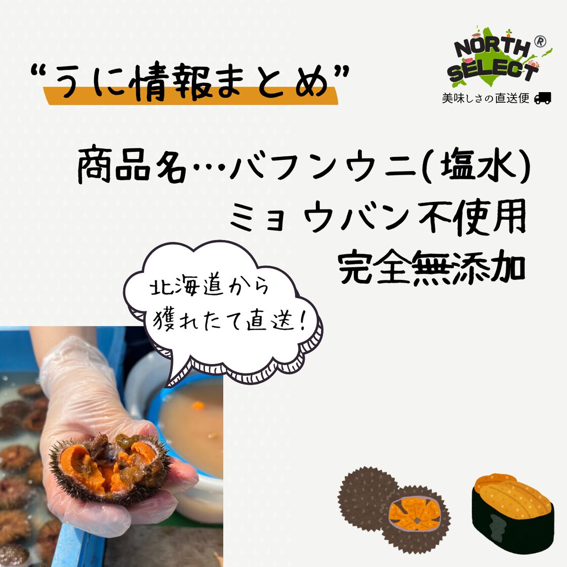 残り3日】北海道・枝幸産 塩水ウニ | Pay ID