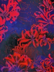 【受注商品】RumiRockセオαゆかた「曼珠沙華」　[A770]