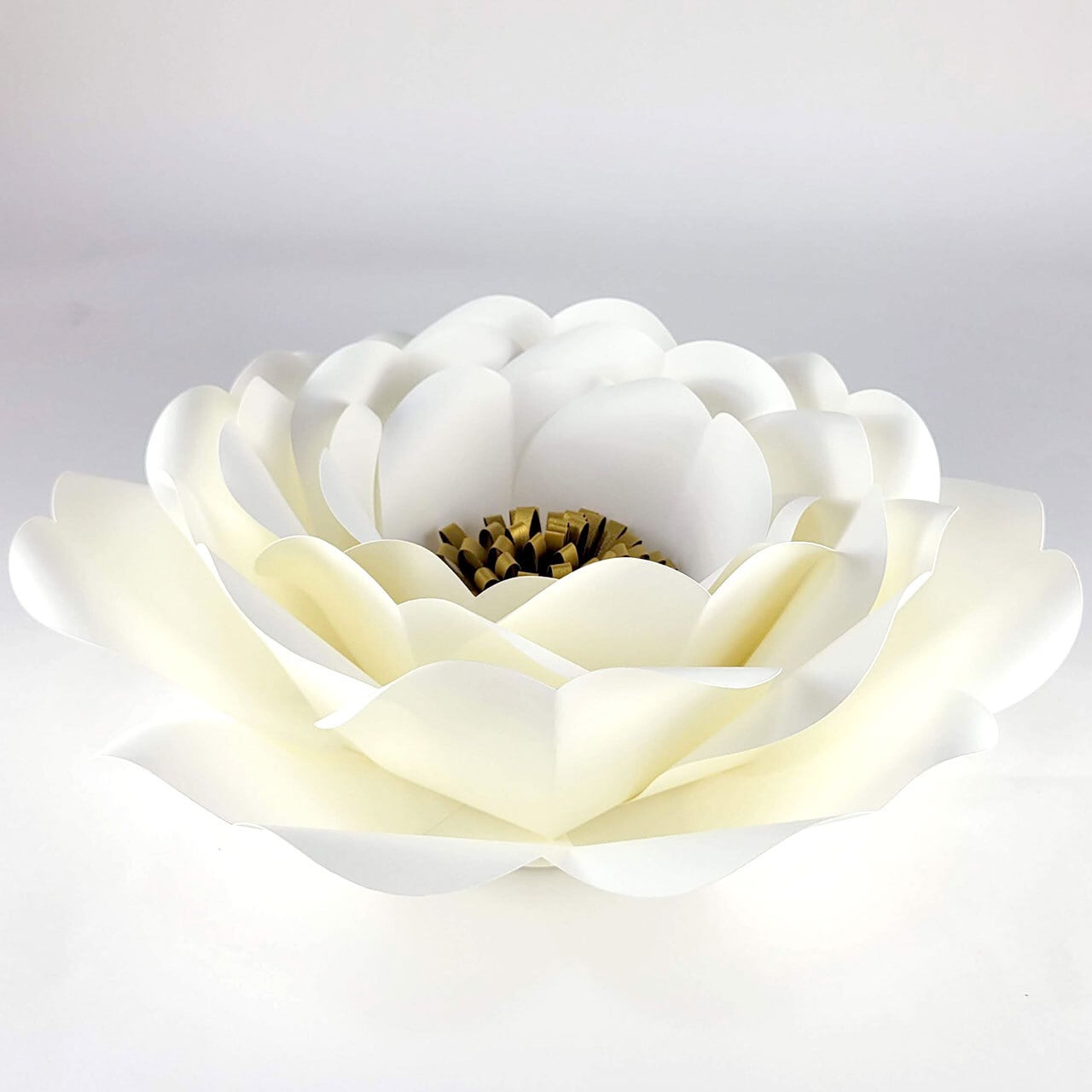 a424d1a85d528b4906b439b4f0db6d