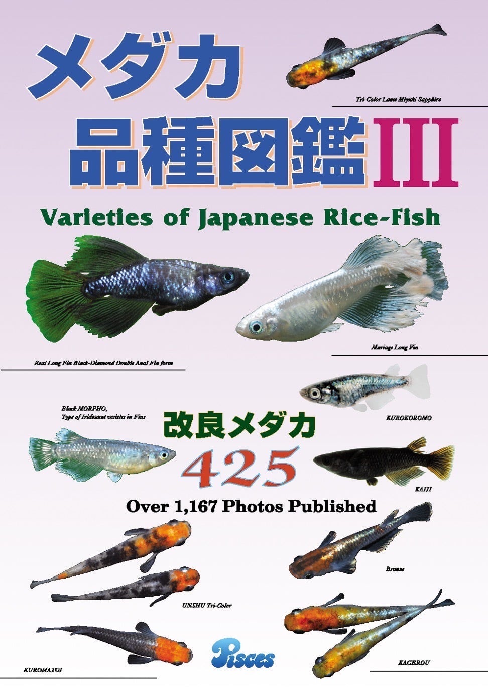 メダカ　3品種まとめ売り a424d5eef553e5533900e46302166a