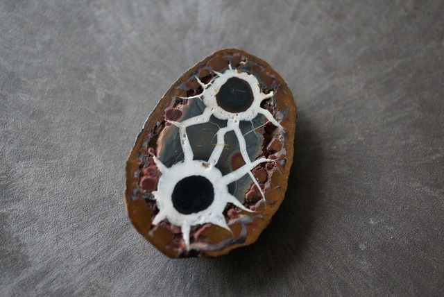 セプタリアン　Septarian　821