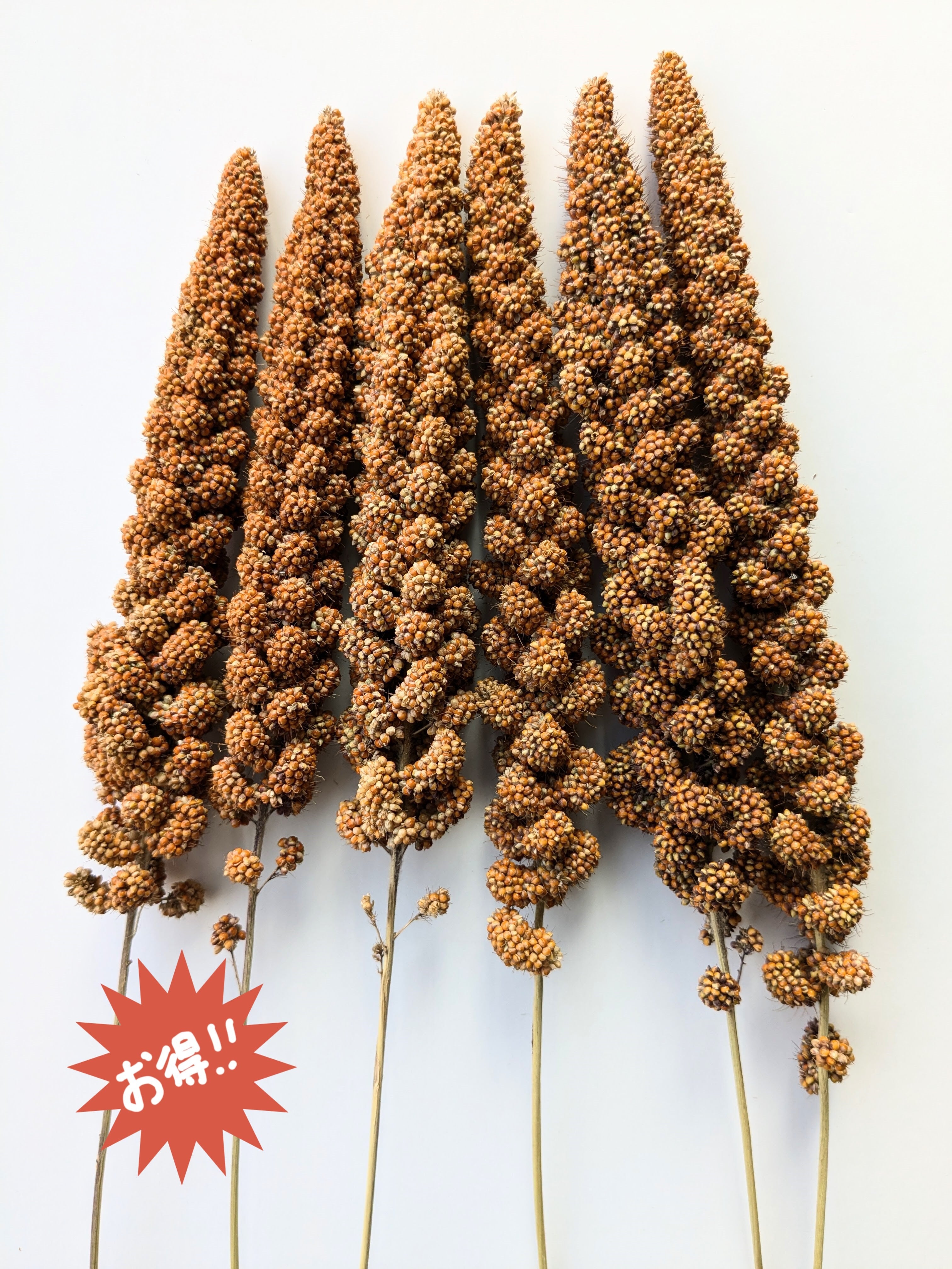 a42c1085abbd6c2cd6e9d0043fbd1d