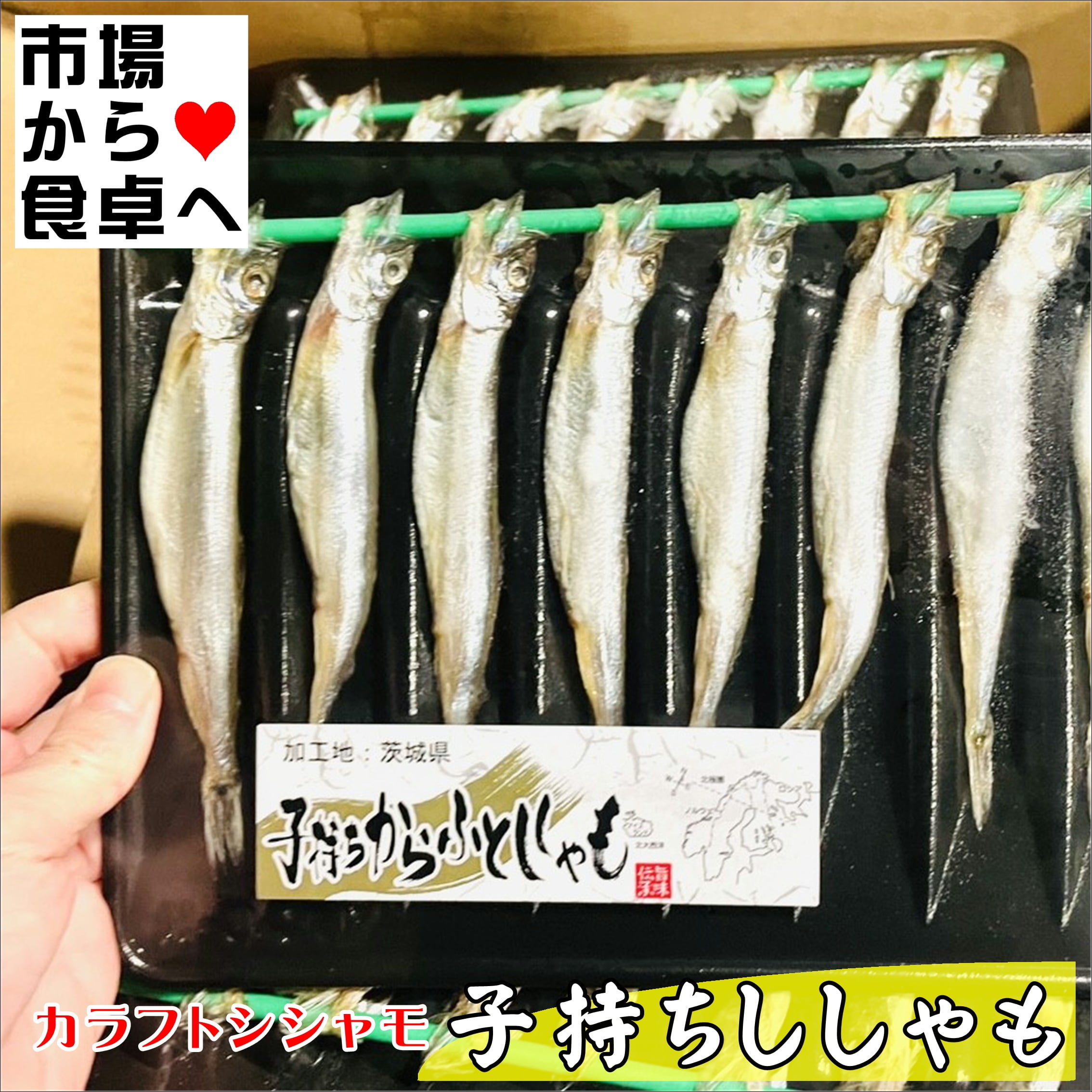 子持ちししゃも (カラフトシシャモ)5パック(1パック8尾入り)【業務用