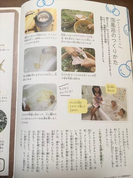 セイタカアワダチソウ 自然乾燥350g 和歌山産 薬草布袋付き セイタカアワダチソウ 自然乾燥350g 和歌山産 薬草布袋付き