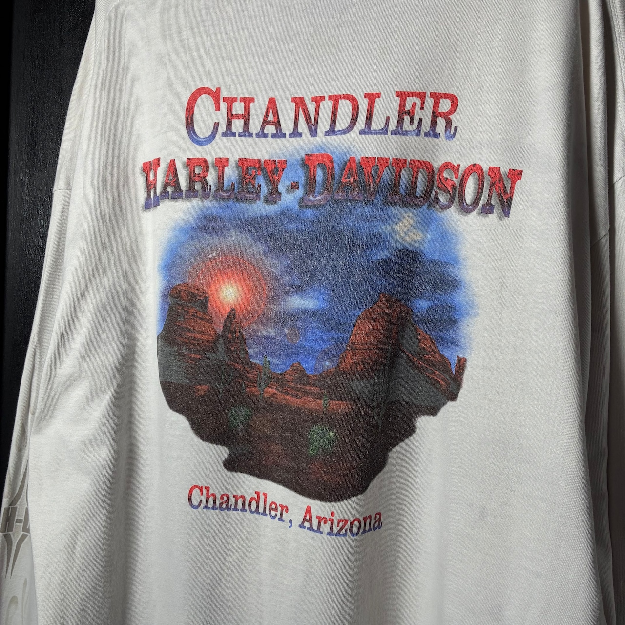 00s Harley-Davidson / ハーレーダビッドソン フレイム袖 × アリゾナバックプリント ロングスリーブTシャツ / 白