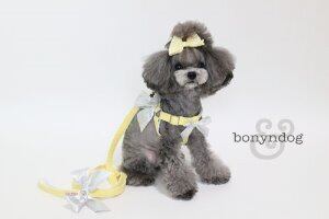 アウトレット　Bonyndog【正規輸入】犬 服 ハーネス リード 0129
