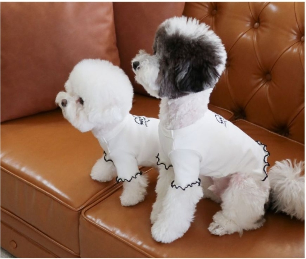 予約  【pecoramou select】  Love Me T-Shirt（Ivory）