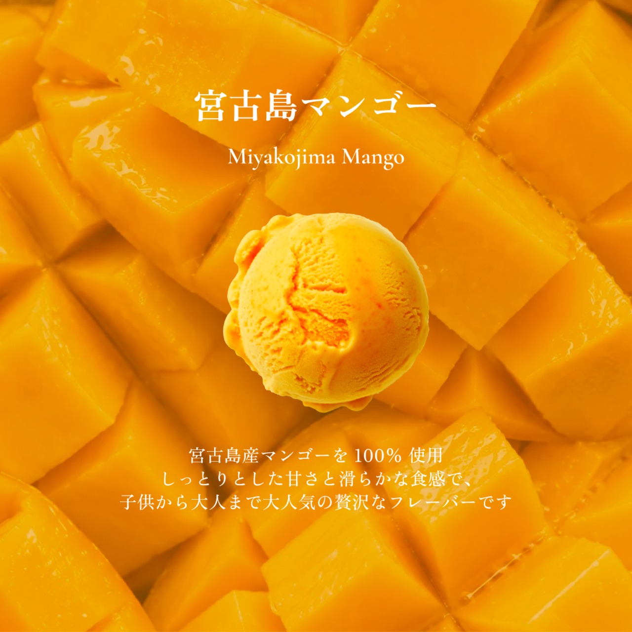 島の恵みジェラート（8個セット） - 5