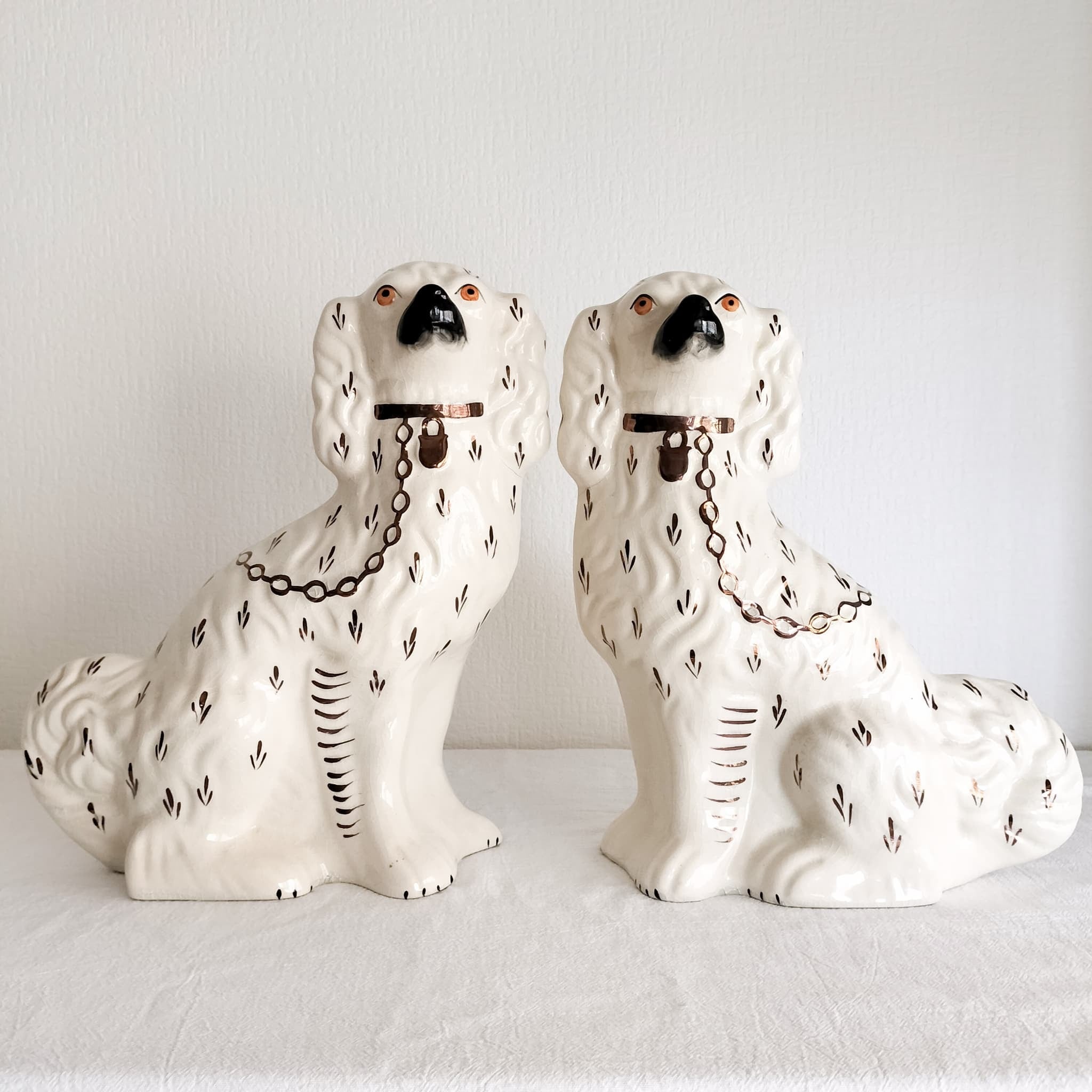 スタッフォードシャードッグ | スタッフォードシャードッグ専門店