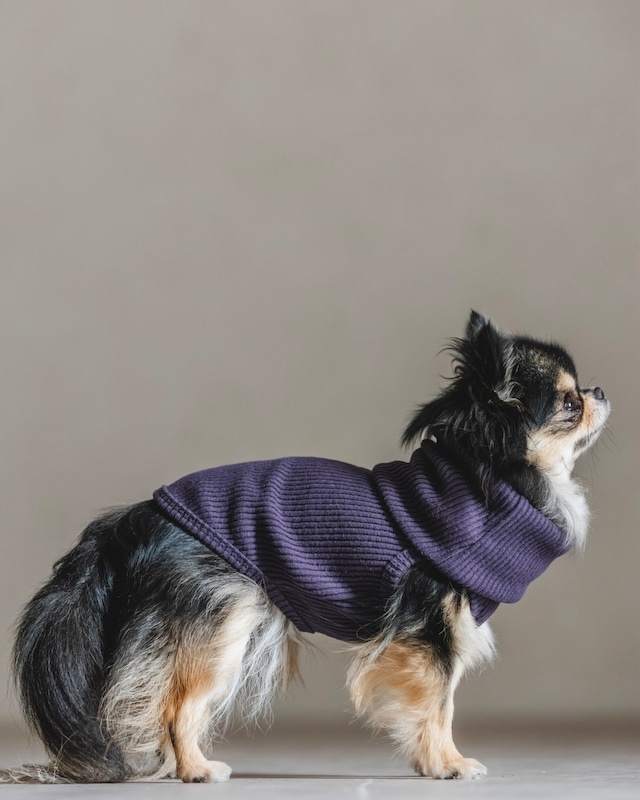 Luxury Warm リブ(パープル)