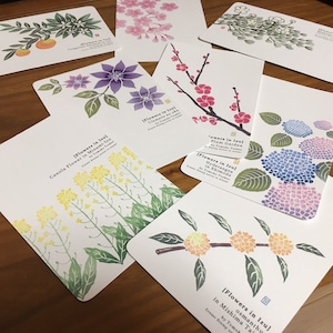 ポストカードセット：伊豆の花８種 | Postcard Set：8 kinds of flowers of Izu