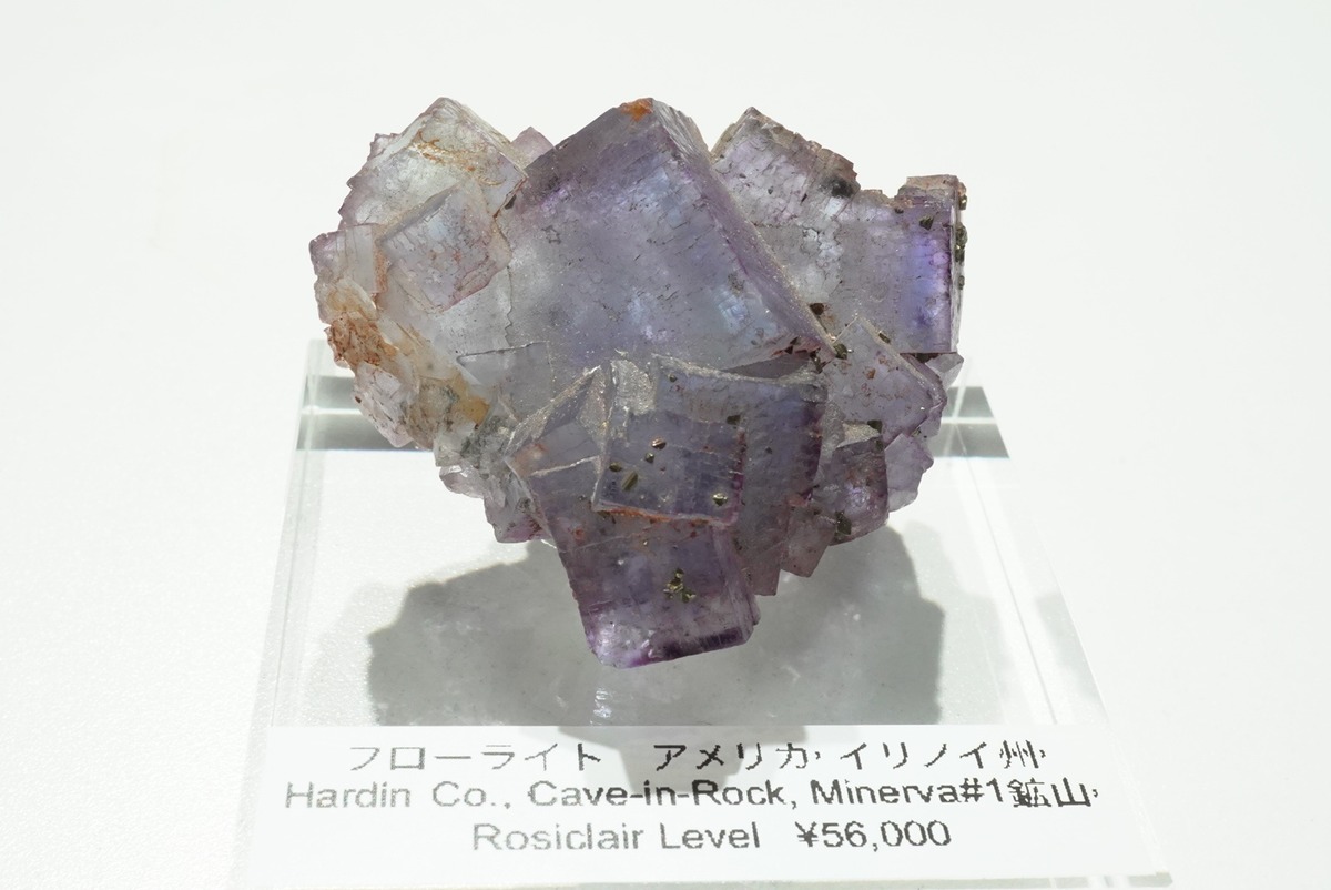 アメリカ、イリノイ州 Minelva#1鉱山のフローライト 2 | 小さな星雲 