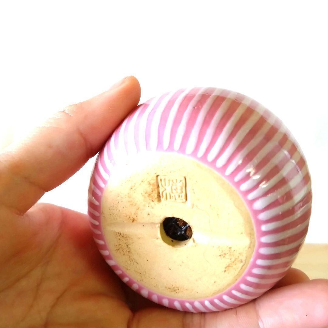 POTOCO 紅紫檀 シタン ベニシタン 陶器鉢 観葉植物 盆栽 小品盆栽 苔玉