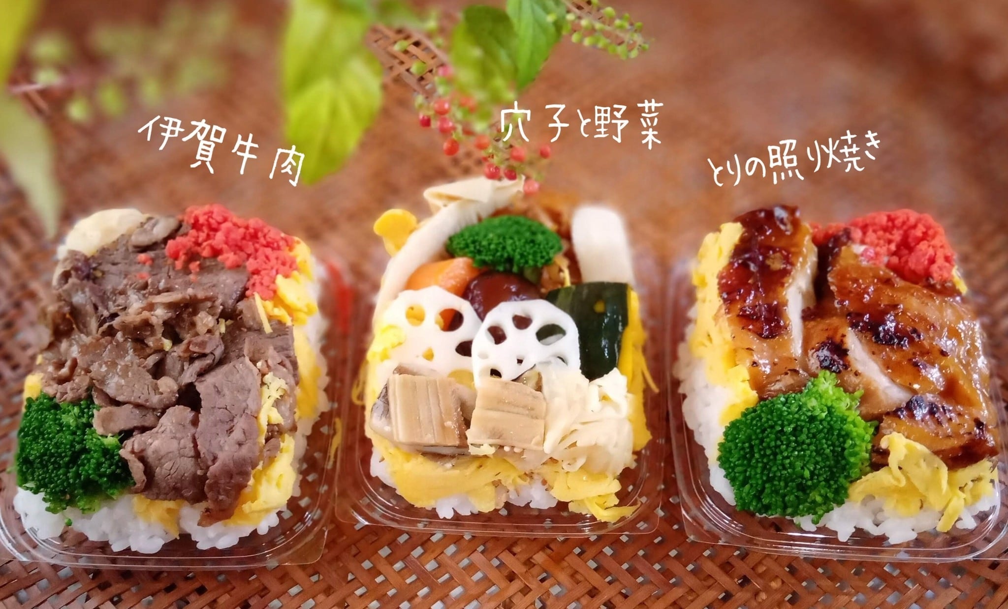 ちび忍者ちらしと巻寿司セットB | suehirosushi