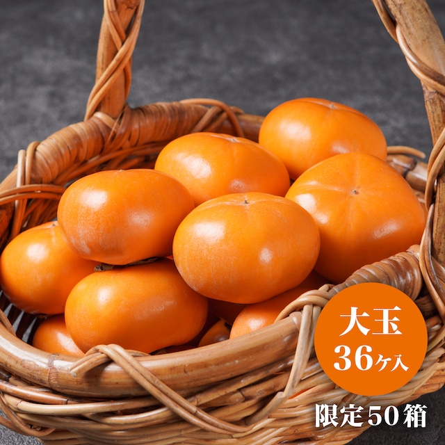 本場松ヶ岡産 庄内柿（大玉 36ヶ入）
