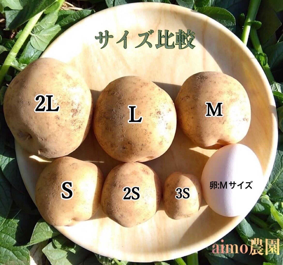新じゃが 2S〜M 5kg｜箱別 | aimo農園