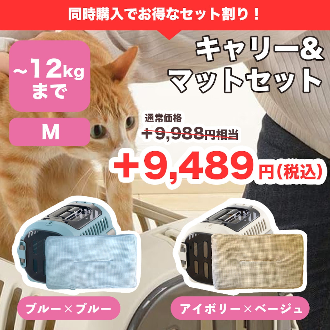 【スターターセットMタイプ（大型猫種向け）】定価 81,558円(税込)のところ→ 58,000円（配送料込み）子猫のしつけ練習時期から成猫のお留守番まで！（オンラインショップ限定）