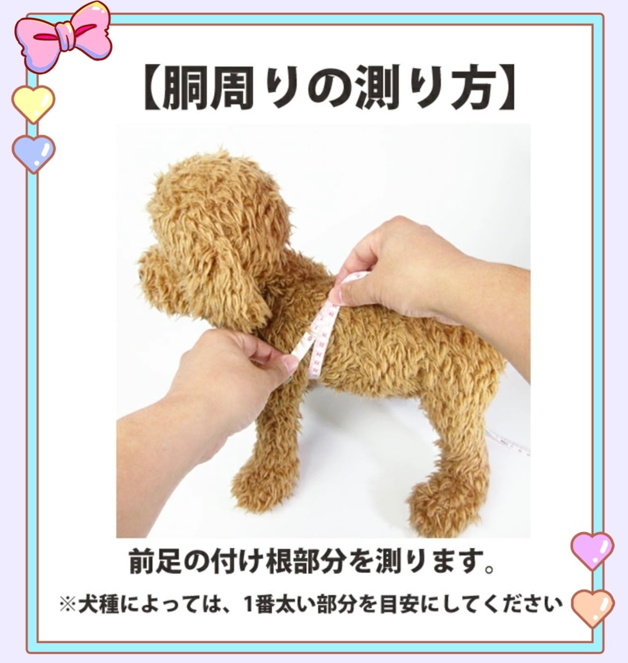 オーダー（XL＋，XLL）サイズ 犬服 MZ5054 | PAY ID