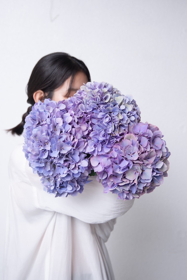 Fresh flowers -Select- 2023SS No. 8