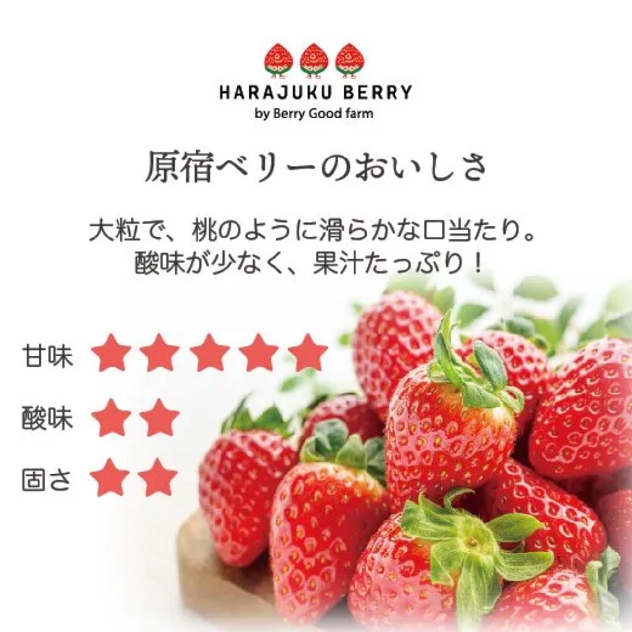 【銅賞受賞御礼《150箱限定！15％オフ＆送料無料》】原宿ベリーの大粒いちご(450g) 1/9より発送開始