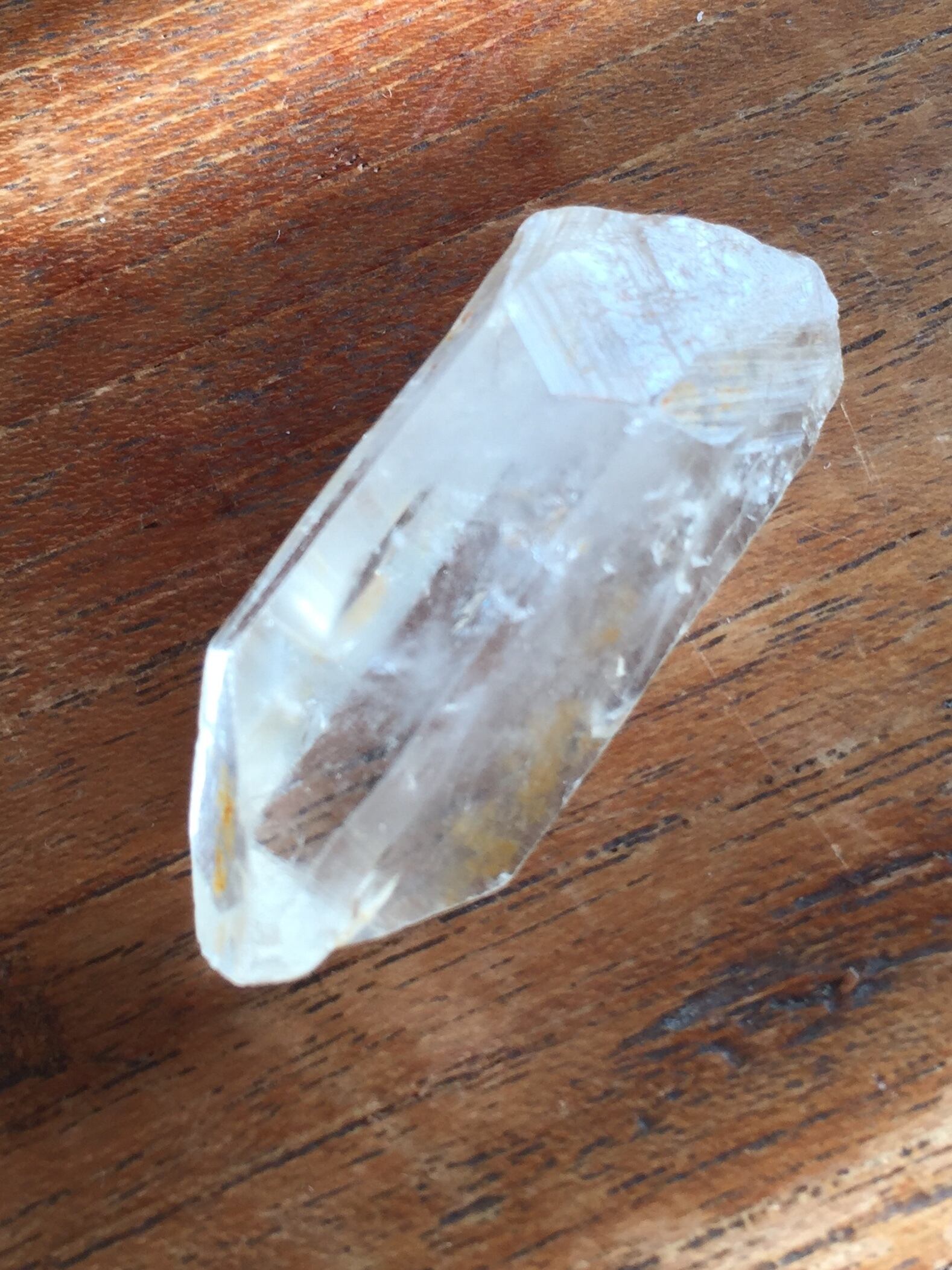 魅力的な存在 サチャロカマスターグランドアース 小