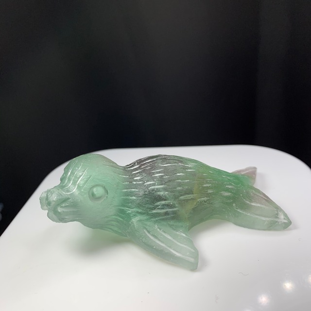 フローライトアザラシ