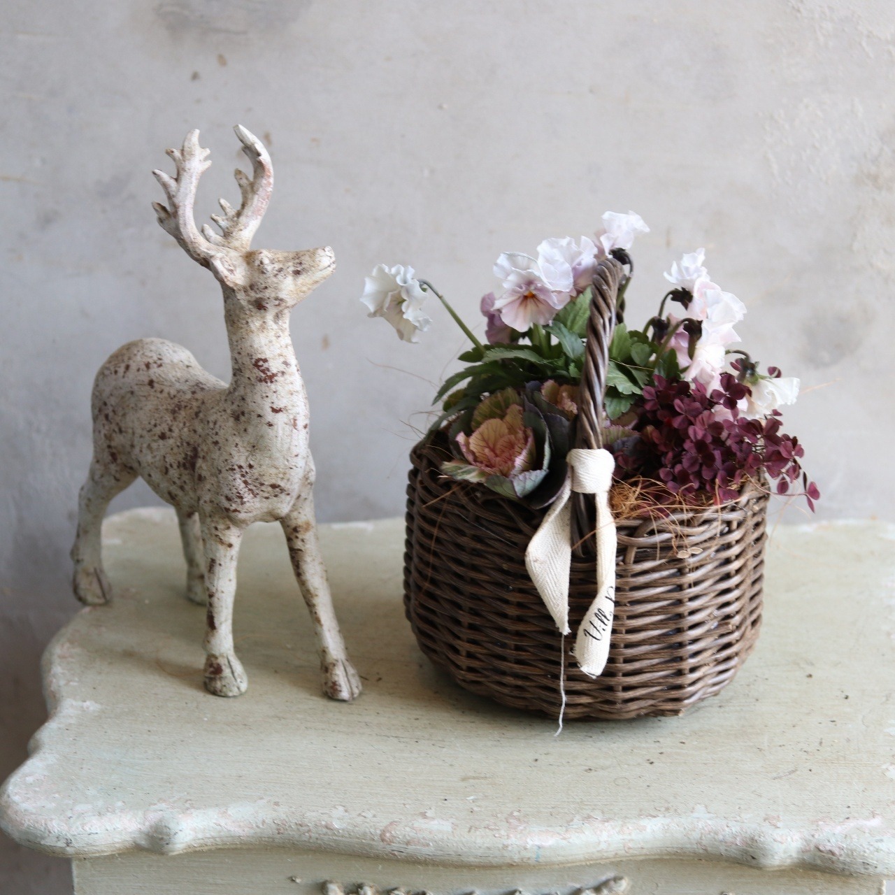 冬から春に楽しむ寄せ植え｜ハボタンあかねバスケット　届いてすぐ玄関に飾れる 　プレゼントにもオススメ　