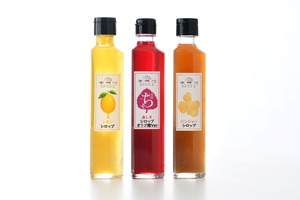 期間限定　ハート型瓶シロップ　《木田ちそオリゴ糖Ver・レモン（レモネード）・ジンジャー》