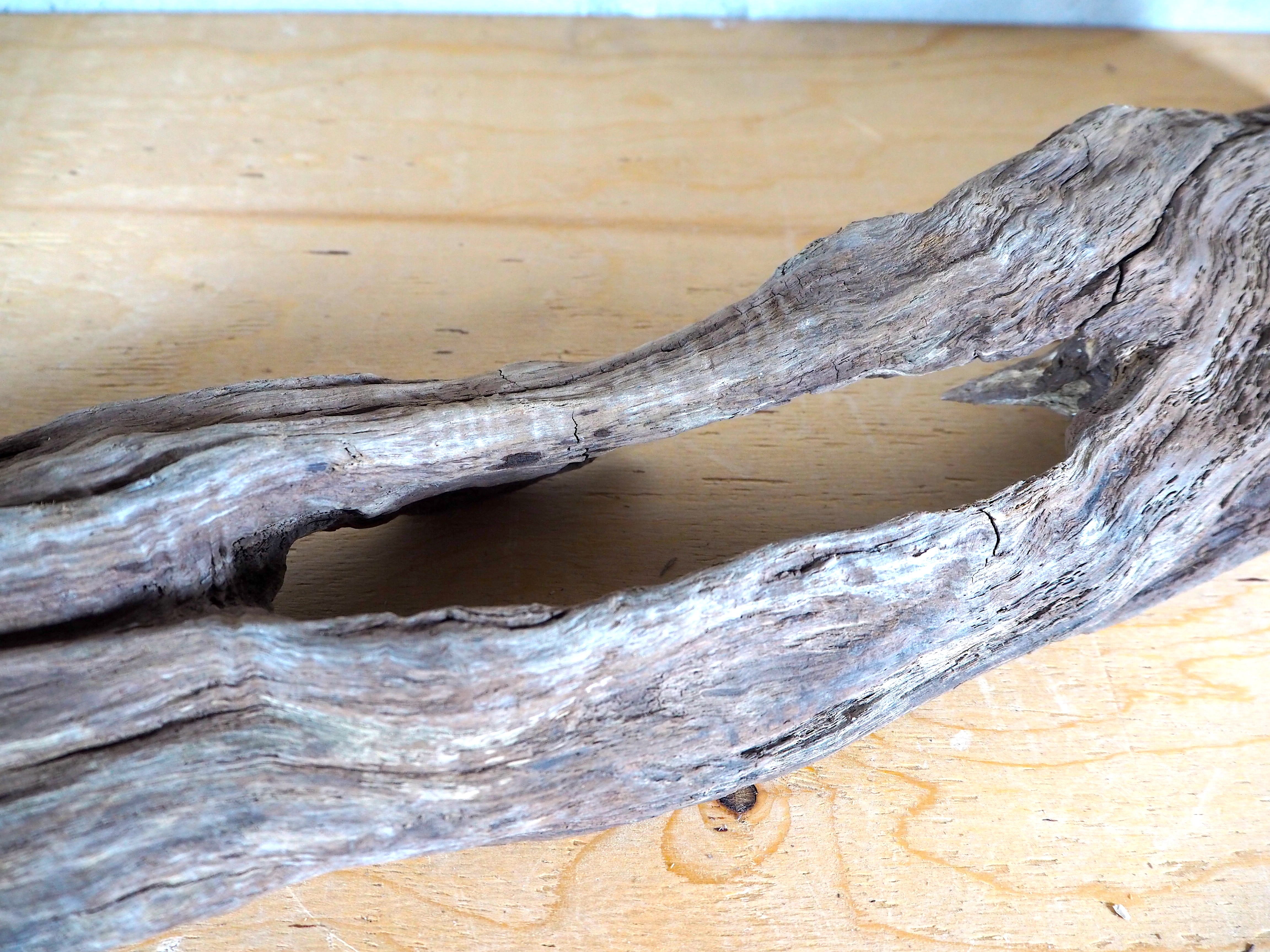 流木販売専門店 山の流木