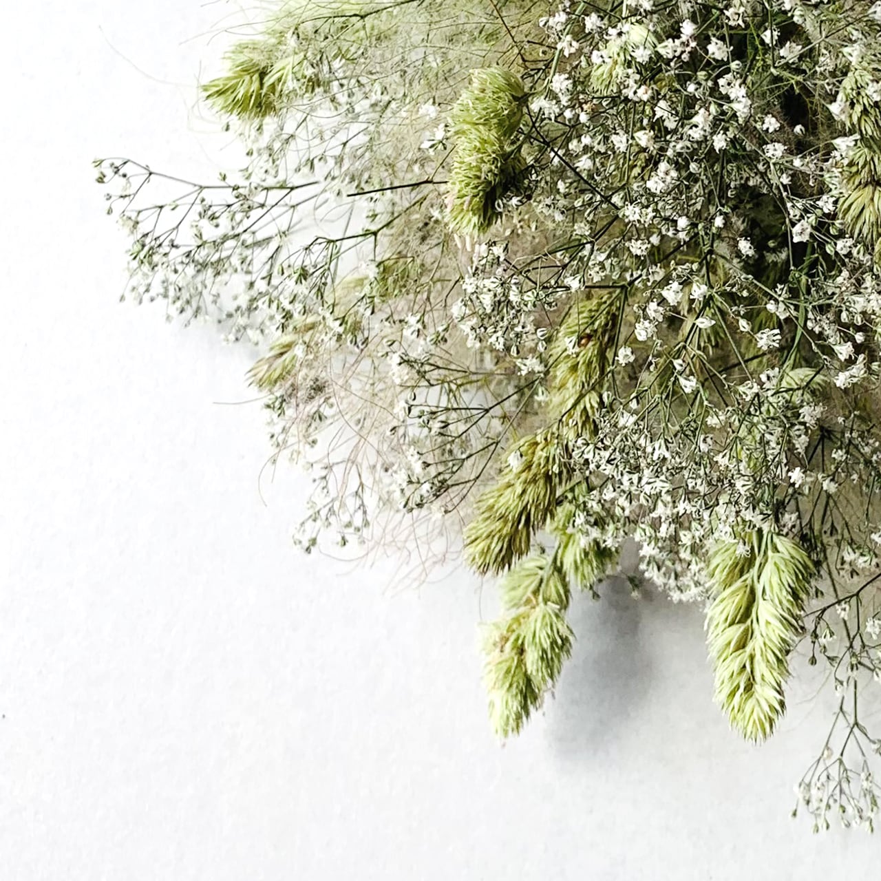 スモークツリー の大きい三日月リース　かすみ草　ドライフラワー Amazon | スモークツリースワッグ ドライフラワー スモーク