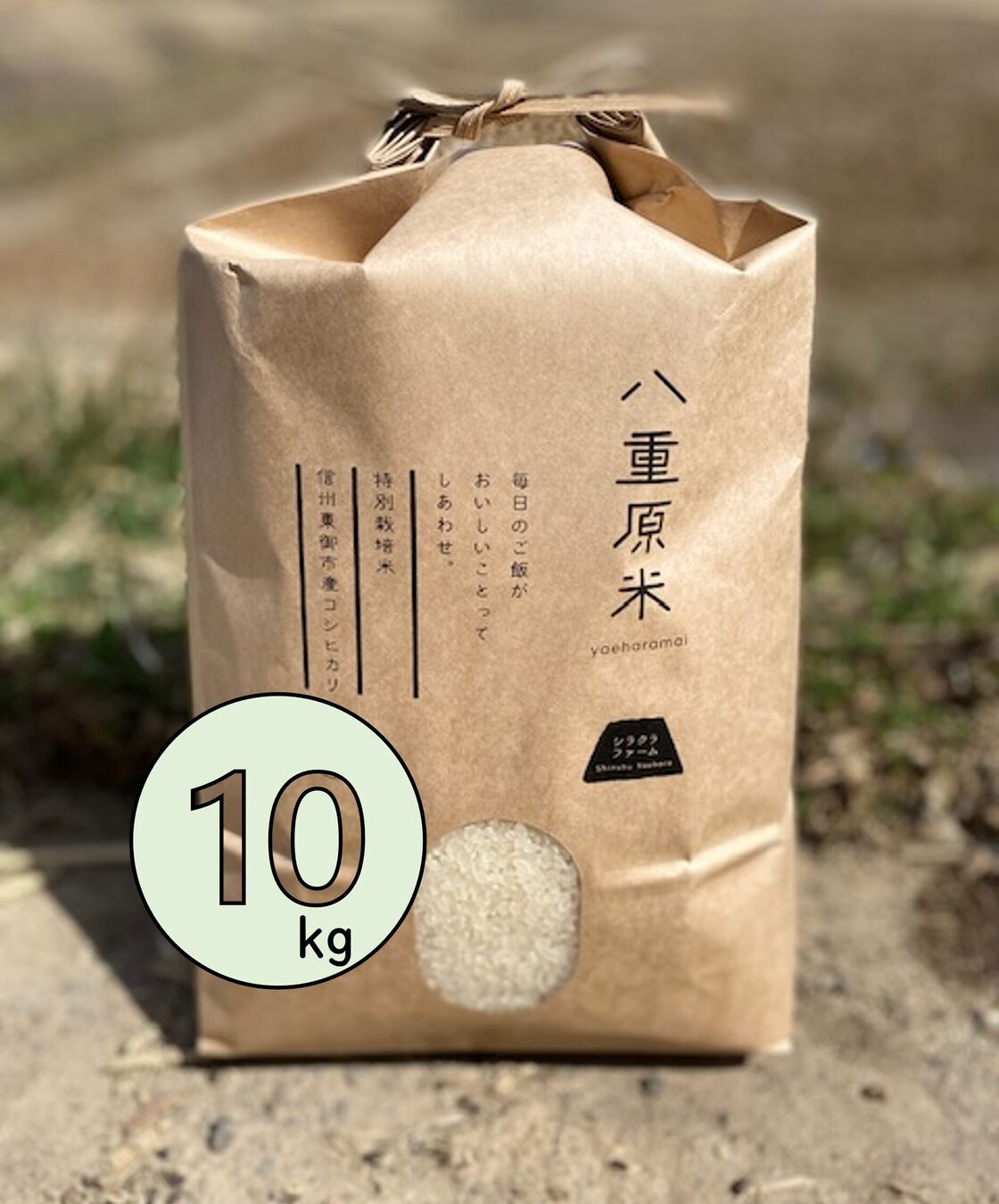 R7年産 八重原米 遥陽（はるひ） 10㎏ （減農薬・特別栽培米） | PAY ID