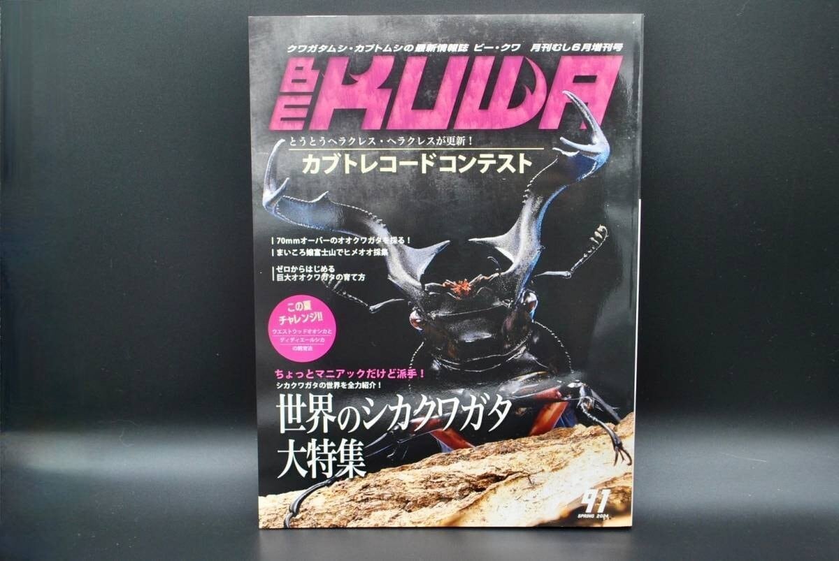 即決 ☆ くわがたマガジン NO.28 特集 ちょっとマニアックなクワガタ達