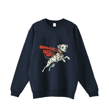 old stussy dragon sweat vintage オールド ステューシー トレーナー 