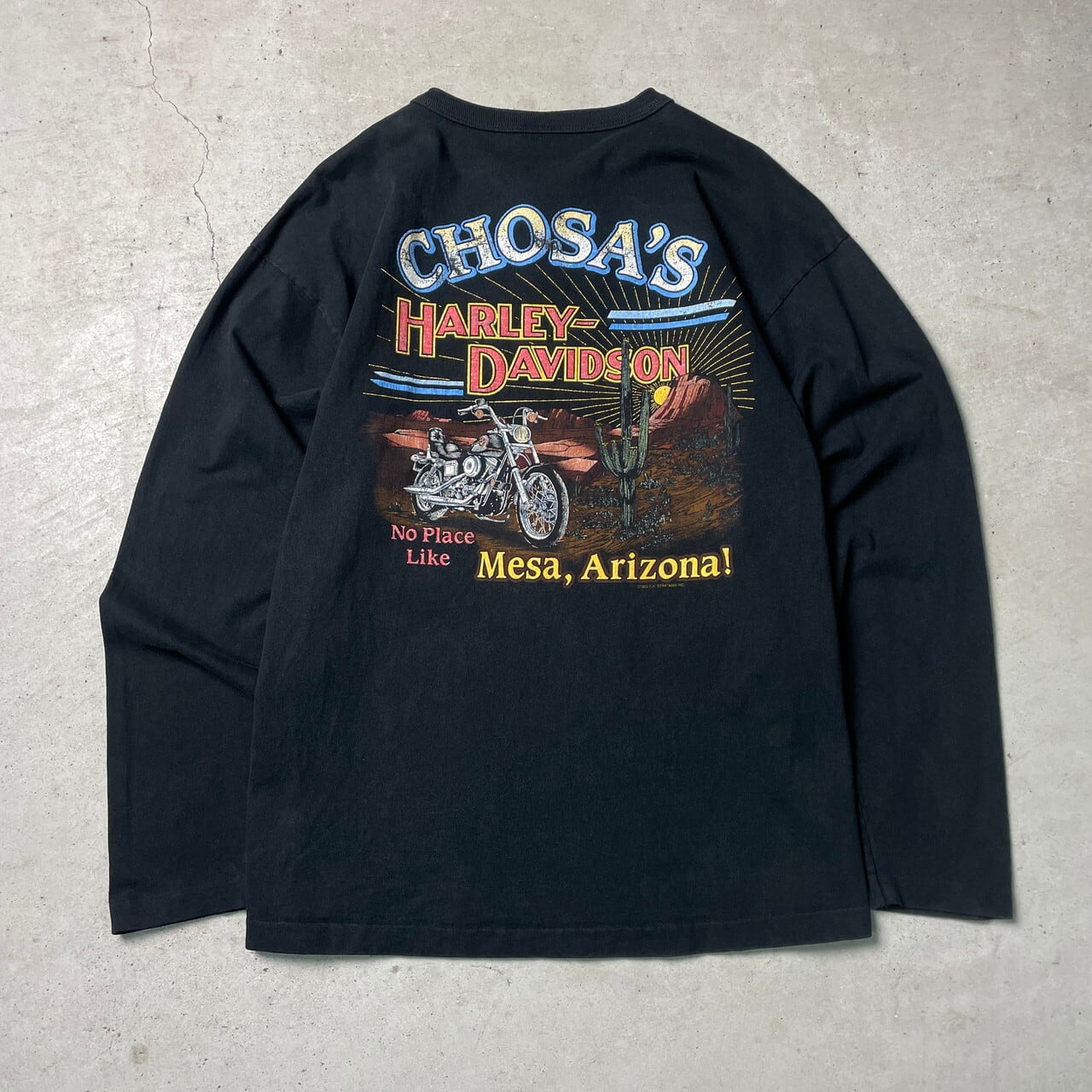 90年代 USA製 Harley-Davidson ハーレーダビッドソン 両面プリント 