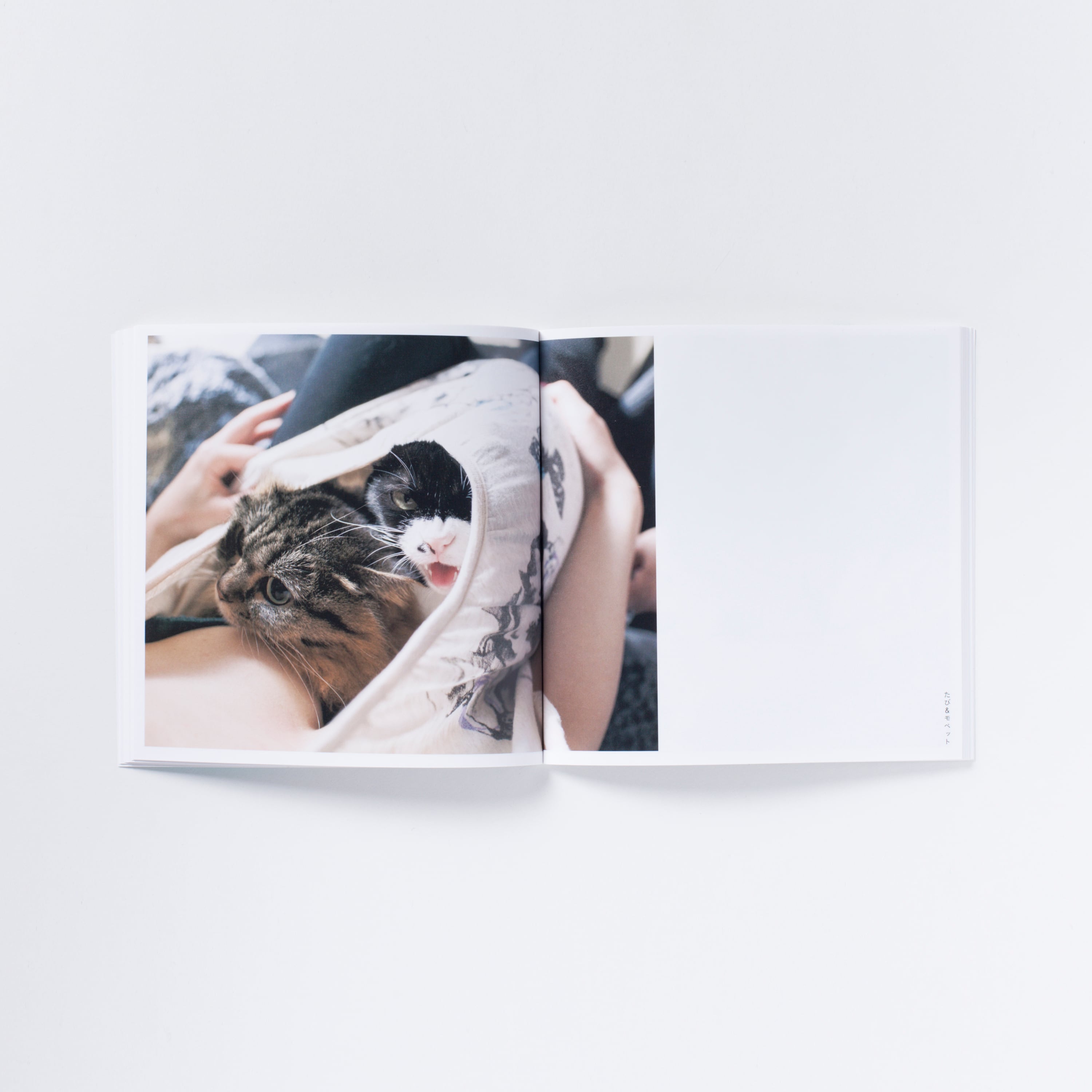サイン本】青山裕企 53rd:写真集『パイニャン』 | PAY ID