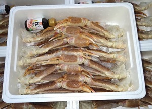 かにすきセット3L10肩（5人向け）