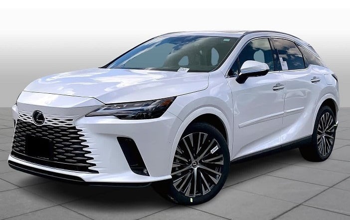 LEXUS RX 20系 LX-MODE フォグランプガーニッシュ エルエックスモード