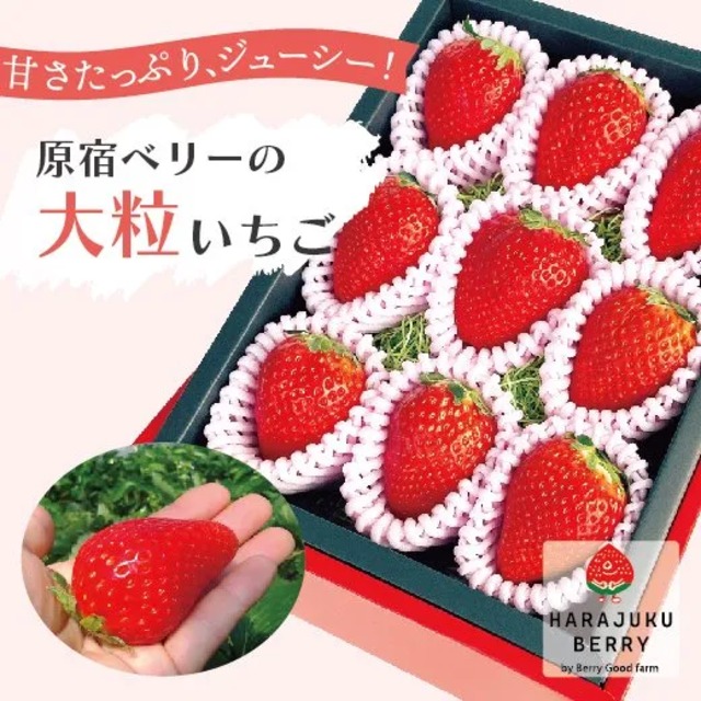 【30箱限定】12/10～12/22お届け　原宿ベリーの大粒いちご（450g）
