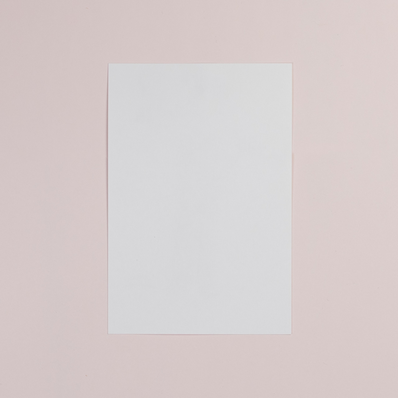 < Riie ／ ワカイリエ > ドローイング原画「お魚あります」