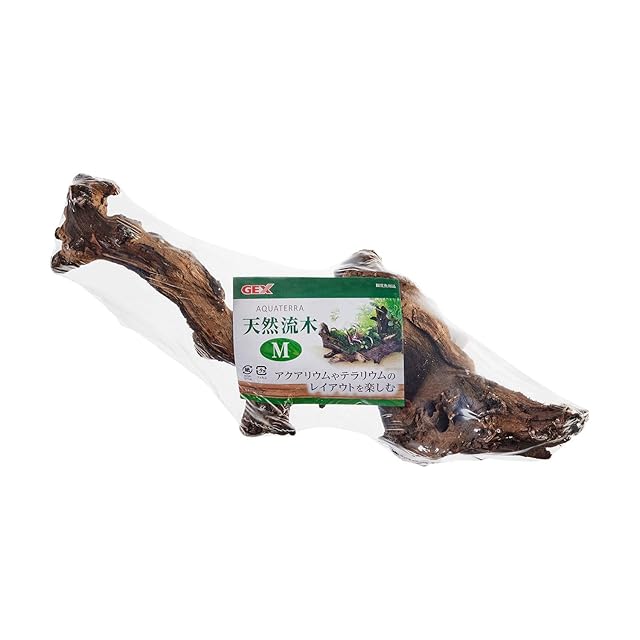 ペルビアンオレンジバンデッドセンチピード 全長20cm程 Scolopendra