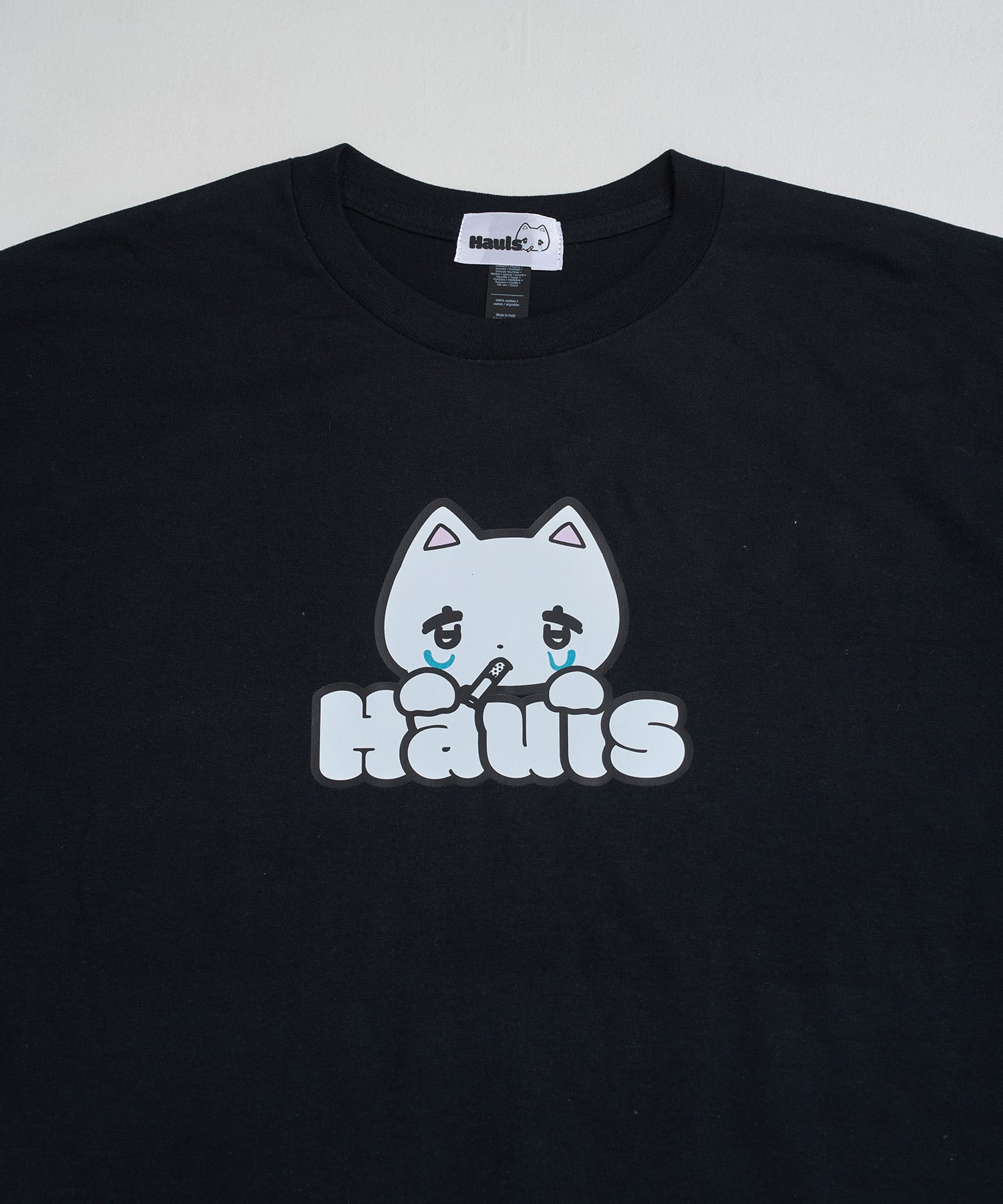 どどーん！BIGTEE | Hauls