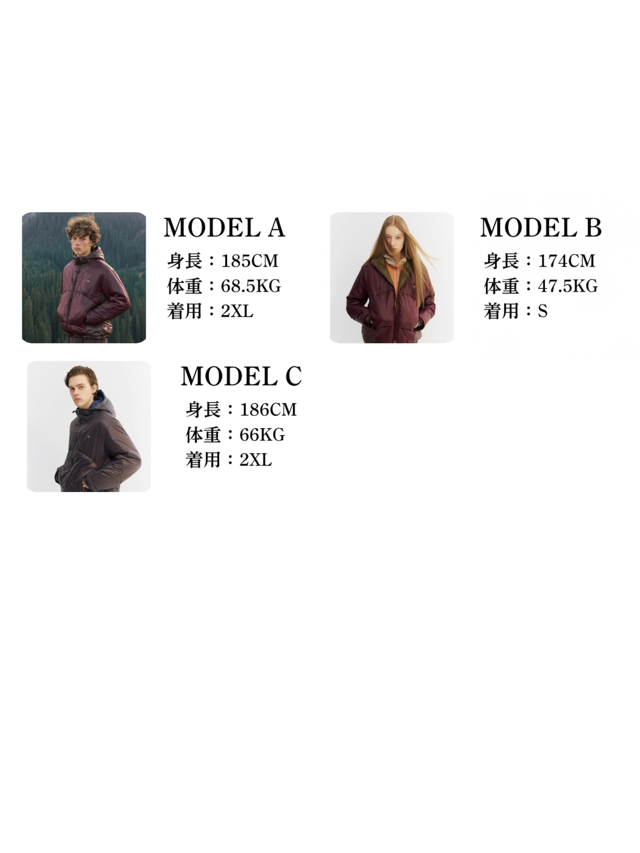 NORYBRAND Primaloft Gold Hooded Jacket