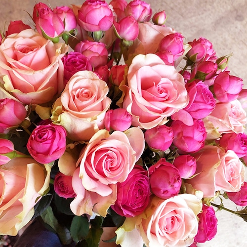 【Bouquet】Pink Rose Bouquet（Premium）