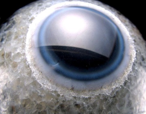 宇宙の鼓動に乗ってベストな時にベストな場所で成功させる龍の目