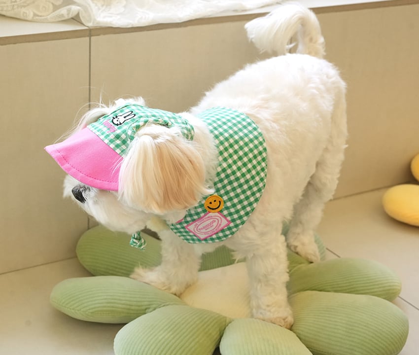 buddy cape cap set 2color / 犬用 帽子 ケープ バンダナ スカーフ アクセサリー ドッグウェア ペット用 cap 被り物 お揃い お出かけ お揃い 撮影会