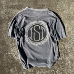 1980s Stussy Sun Fade T-Shirts "IST"