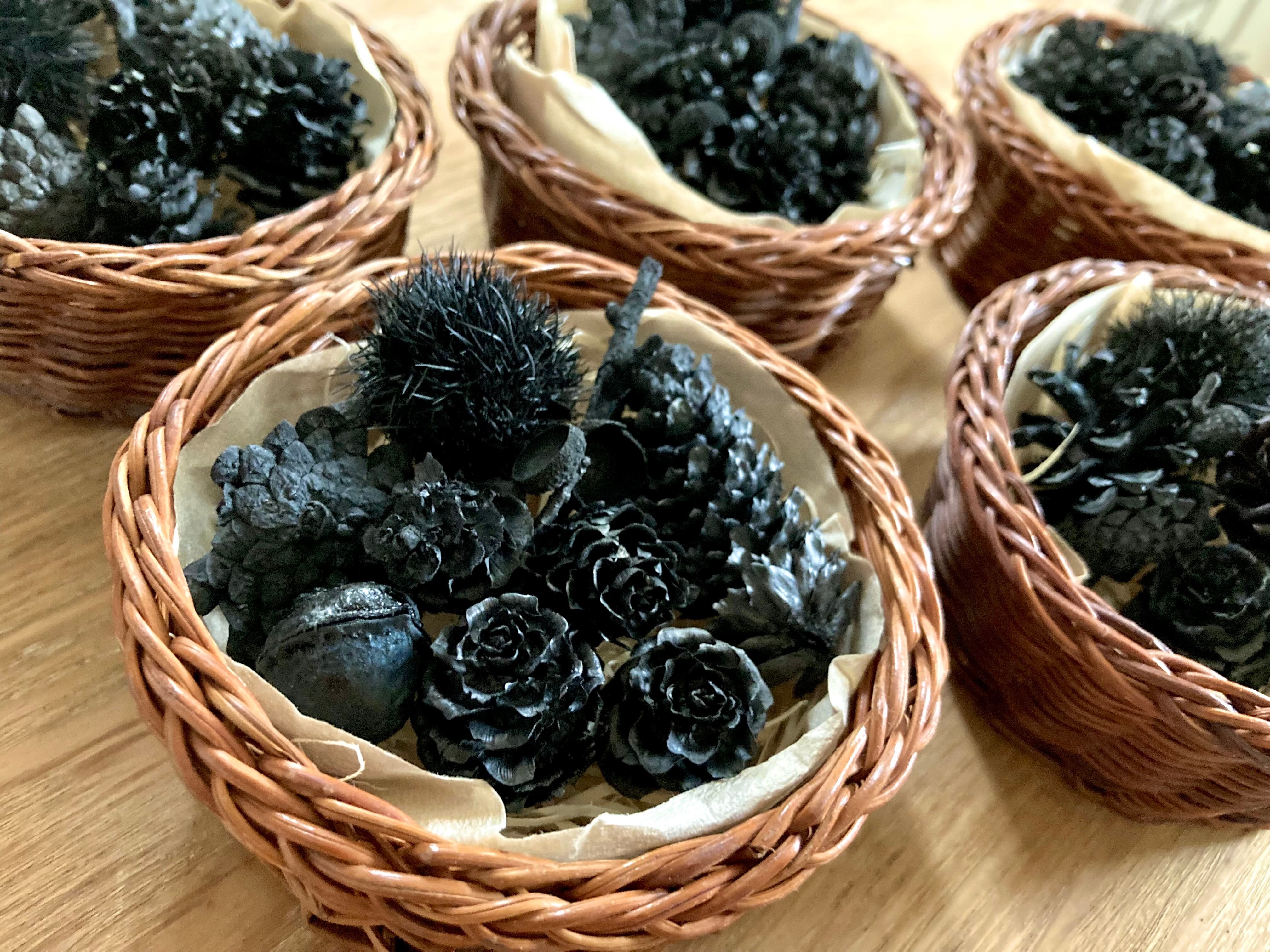 森の木の実 カゴセット | 花炭工房フップの森