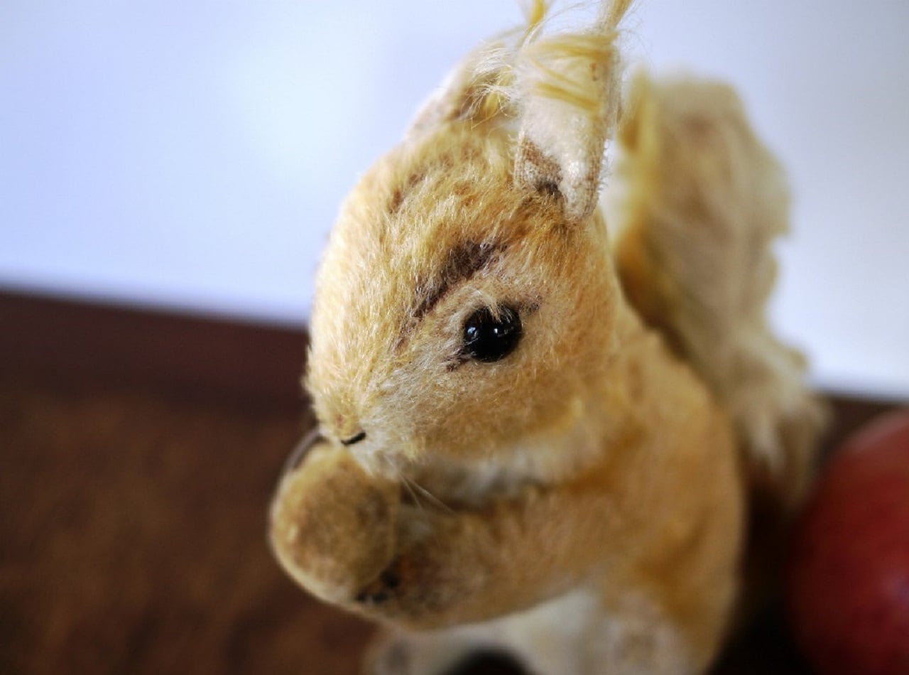 シュタイフSTEIFF リスのポッシーPossy ピンと立った耳